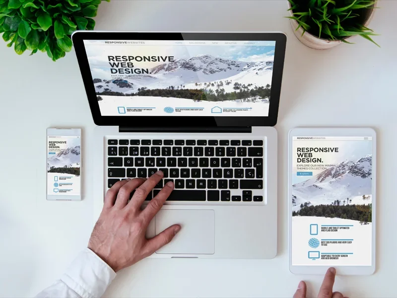 Visibull Web Design Blurb